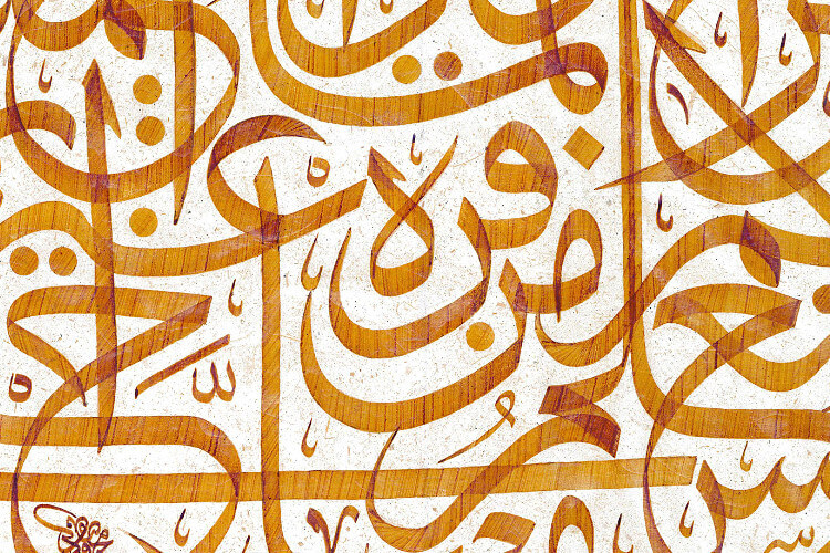 Mahmoud Mostafa Lecture Pic